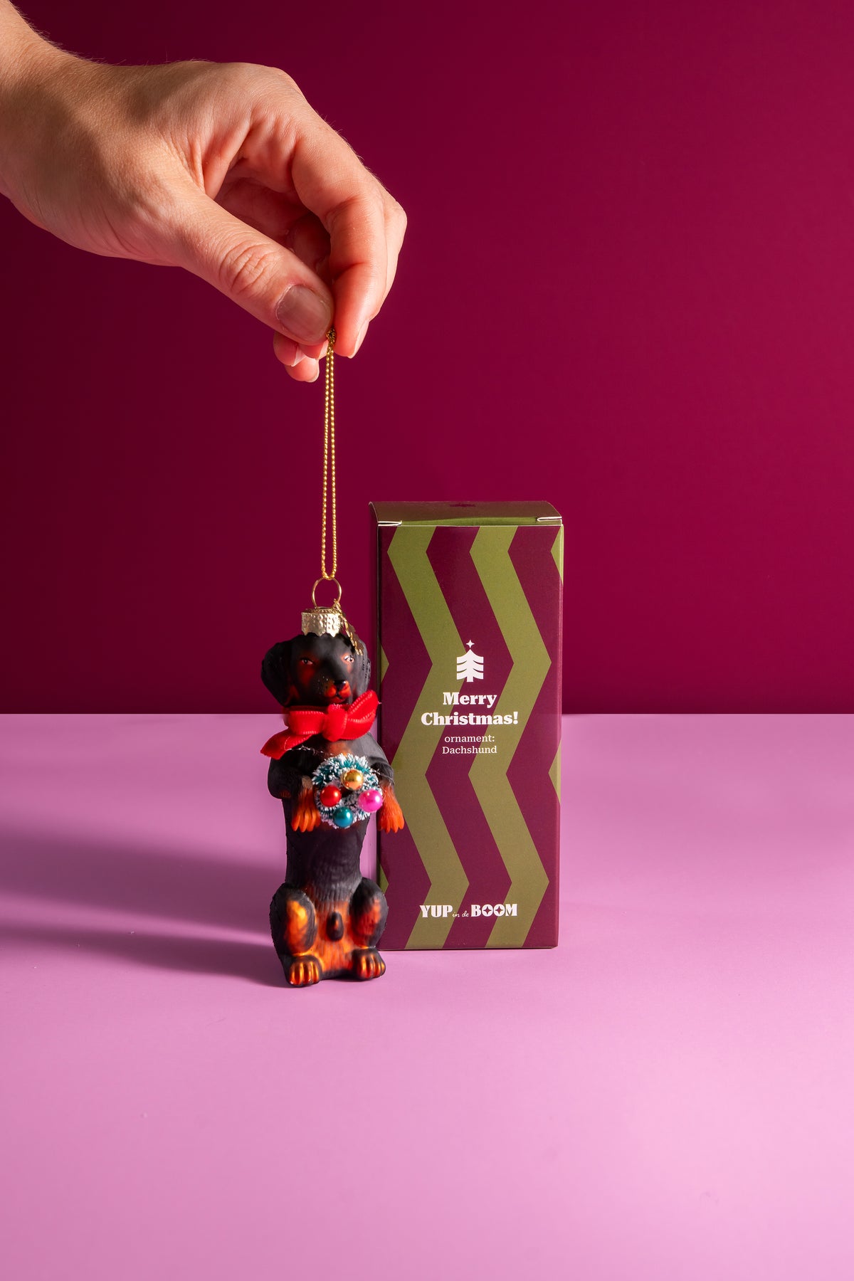 Dachshund