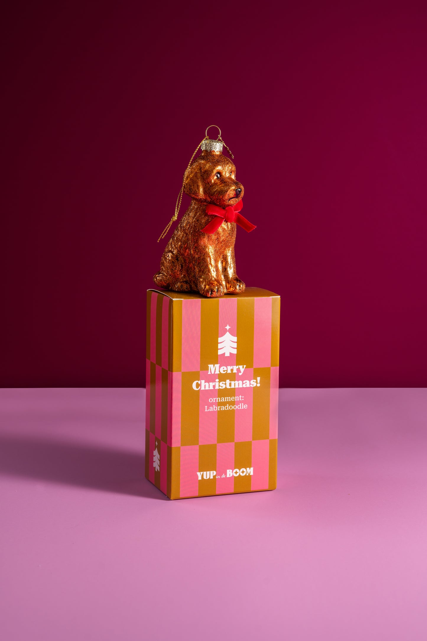 NIEUW: Labradoodle